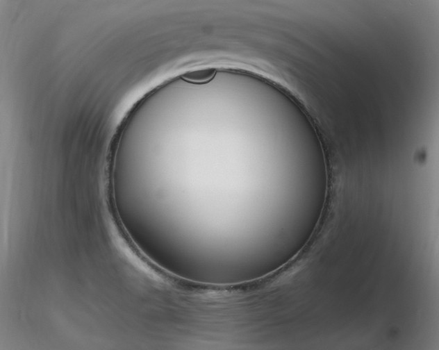 X0000116821518200912181356