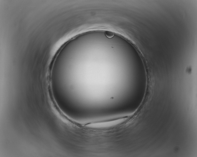 X0000116821519200912181356