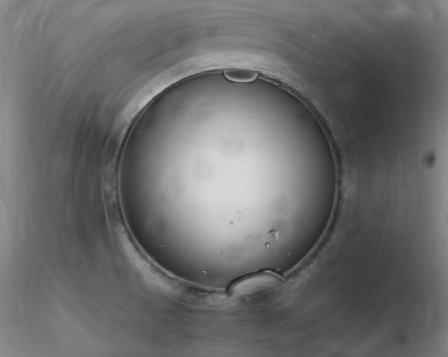 X0000116821521200912181356