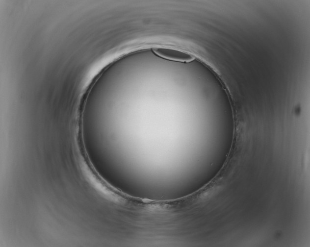 X0000116821523200912181356