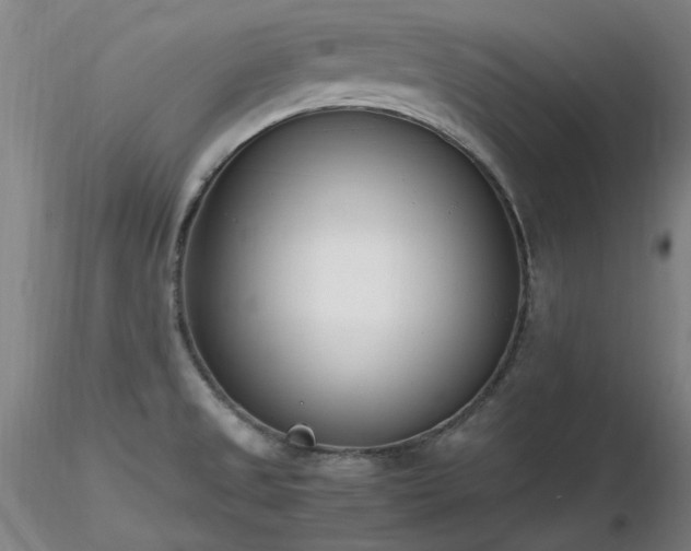 X0000116821525200912181356