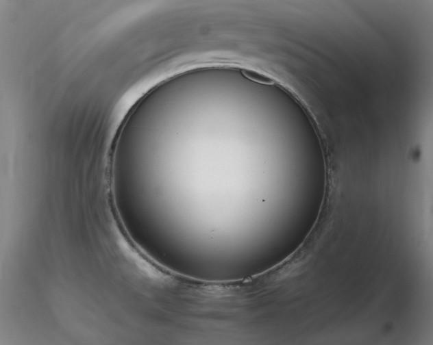 X0000116821527200912181356