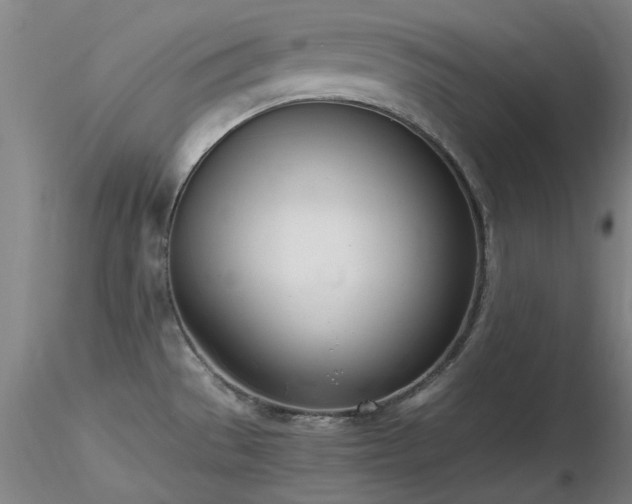 X0000116821529200912181356