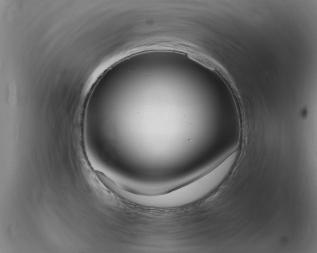 X0000116821530200912181356