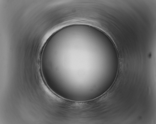X0000116821531200912181356