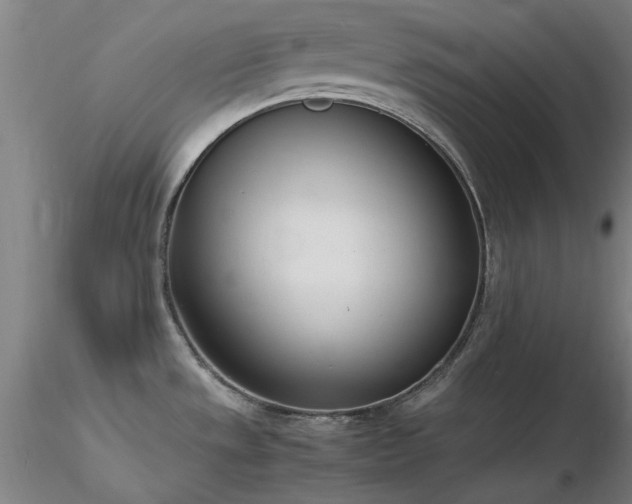 X0000116821533200912181356