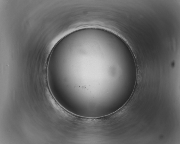 X0000116821534200912181356
