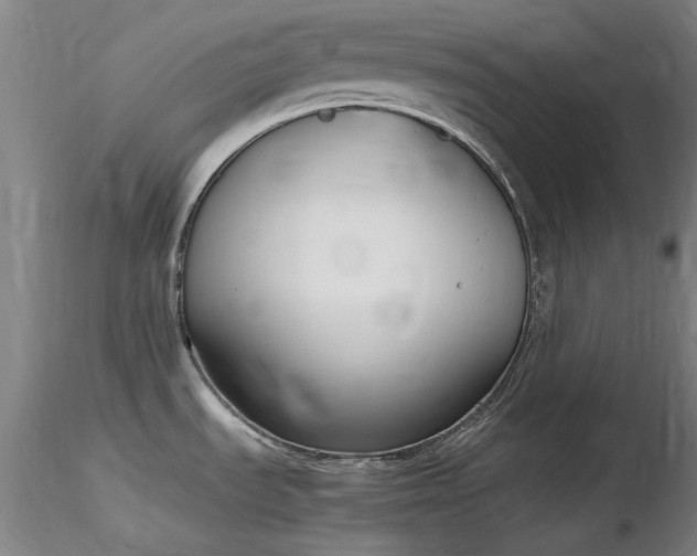 X0000116821535200912181356