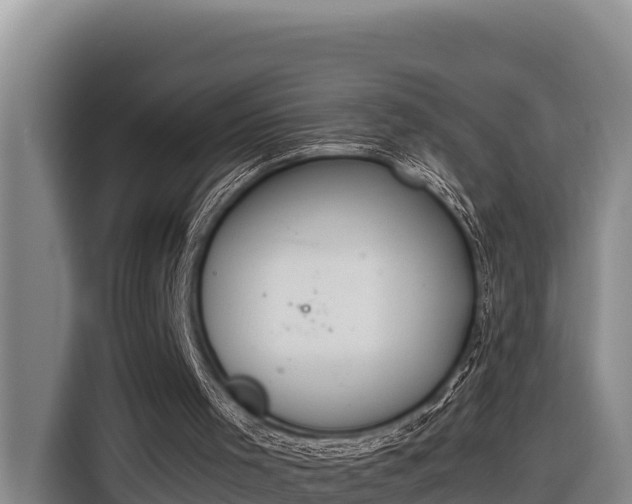 X0000116820001200912241250