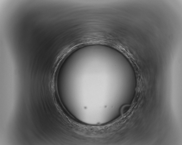 X0000116820002200912241250