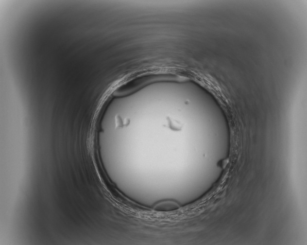 X0000116820003200912241250