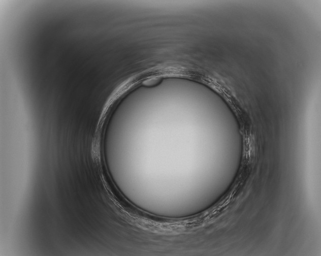 X0000116820004200912241250