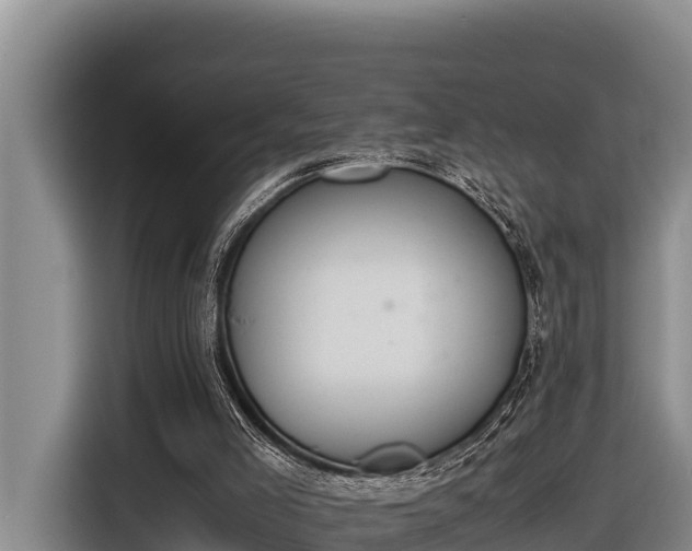 X0000116820005200912241250