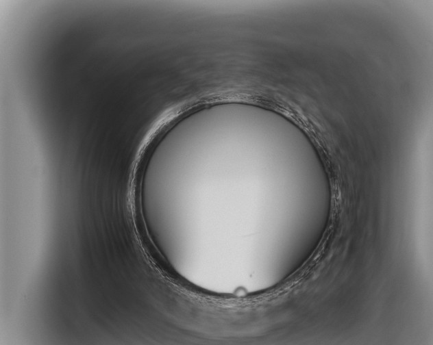 X0000116820006200912241250