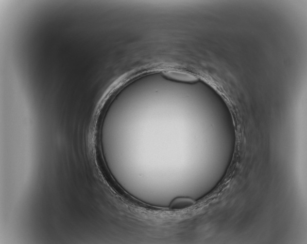 X0000116820007200912241250