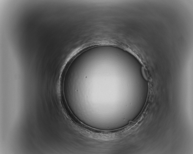 X0000116820008200912241250