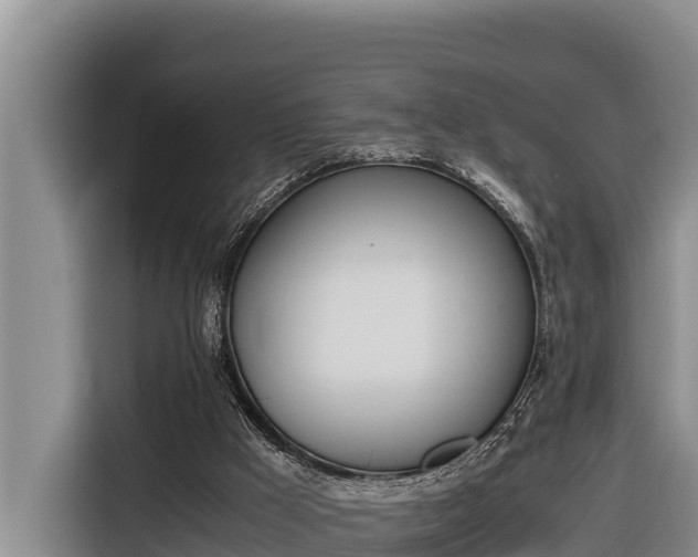 X0000116820009200912241250