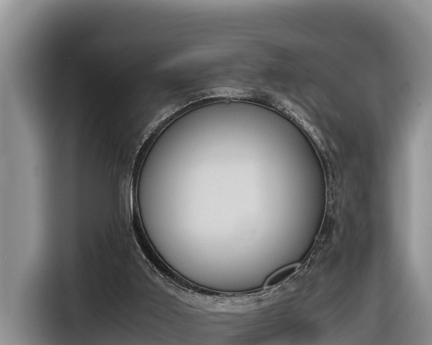 X0000116820011200912241250