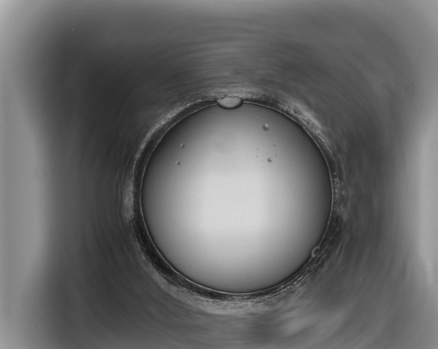 X0000116820012200912241250