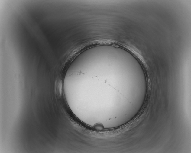 X0000116820013200912241250