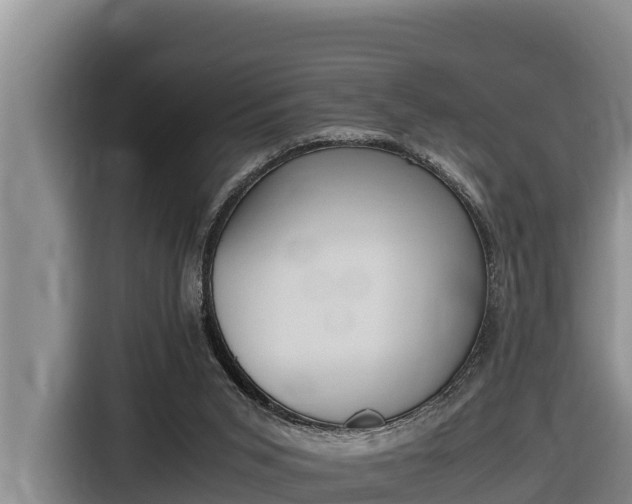 X0000116820015200912241250