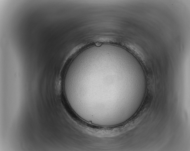 X0000116820016200912241250