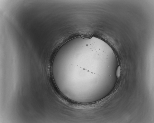 X0000116820017200912241250