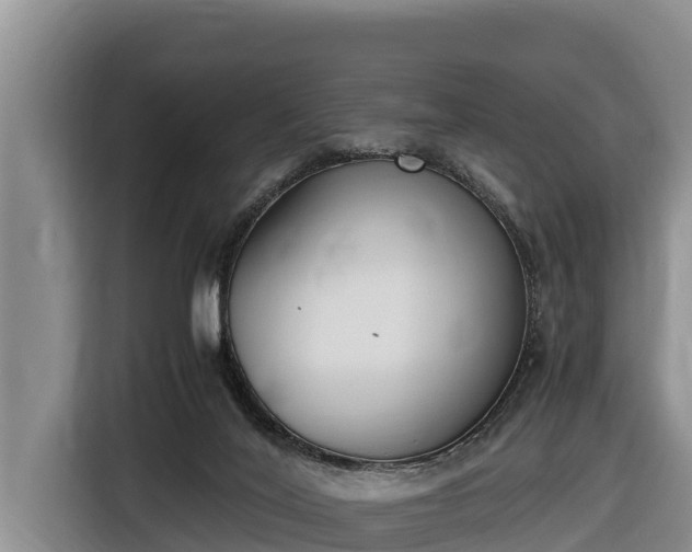 X0000116820020200912241250