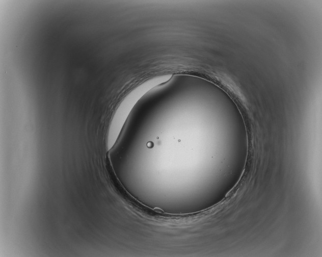 X0000116820021200912241250