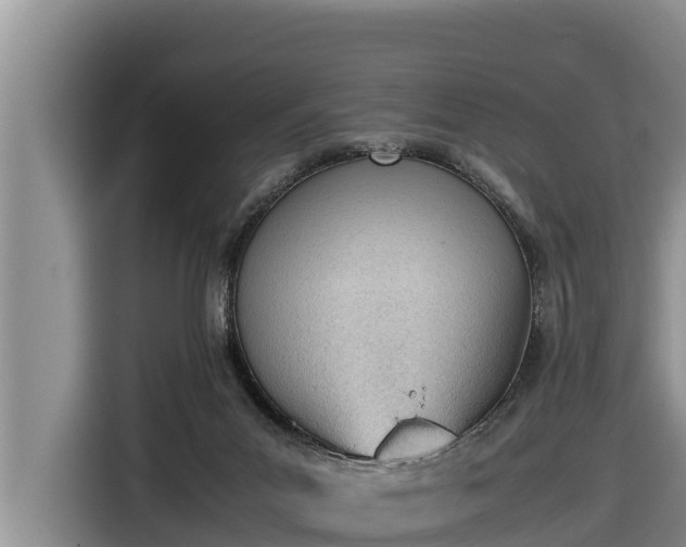 X0000116820023200912241250