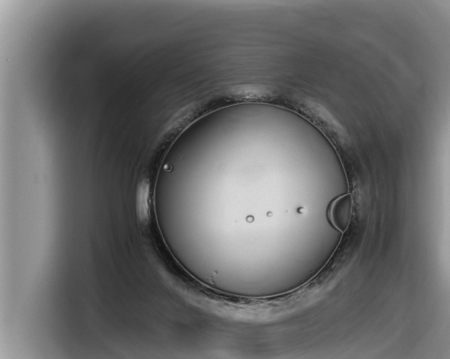 X0000116820024200912241250