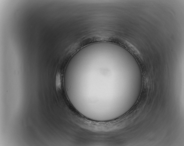 X0000116820026200912241249