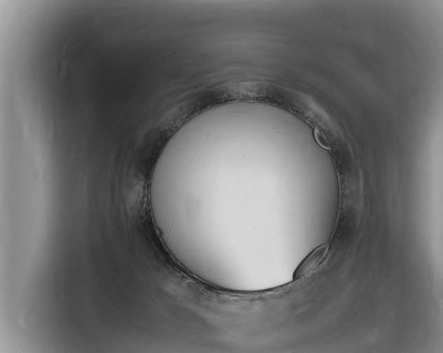 X0000116820029200912241249