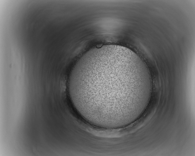 X0000116820032200912241249