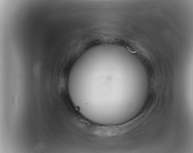 X0000116820033200912241249