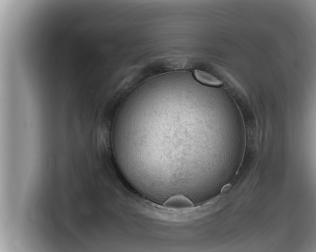 X0000116820035200912241249