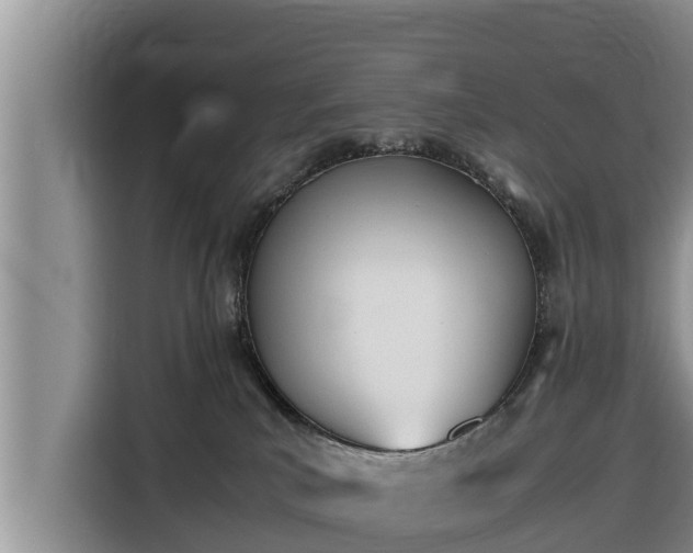 X0000116820039200912241249