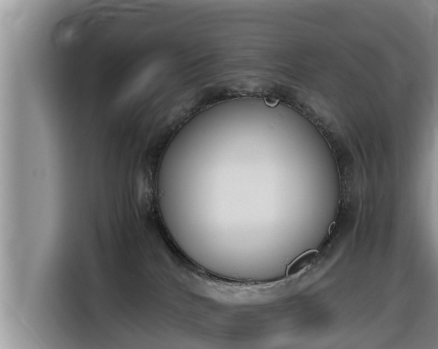 X0000116820040200912241249