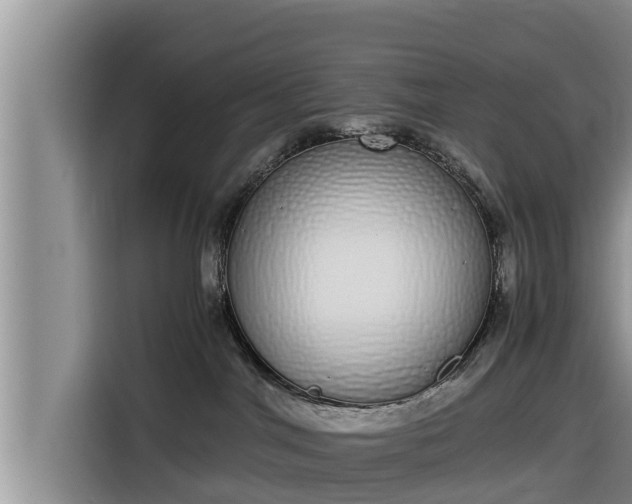 X0000116820044200912241249