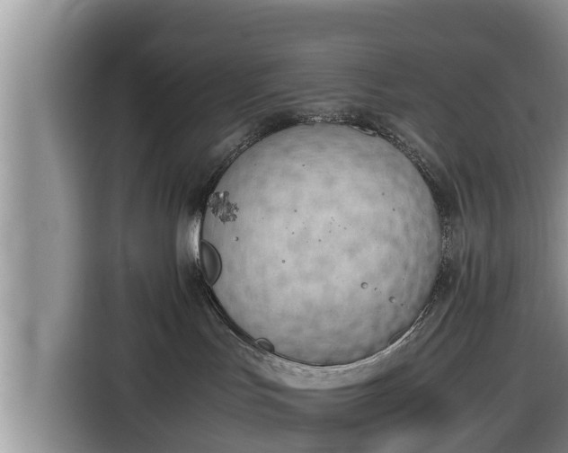 X0000116820047200912241249