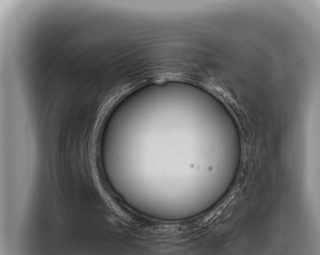 X0000116820049200912241249