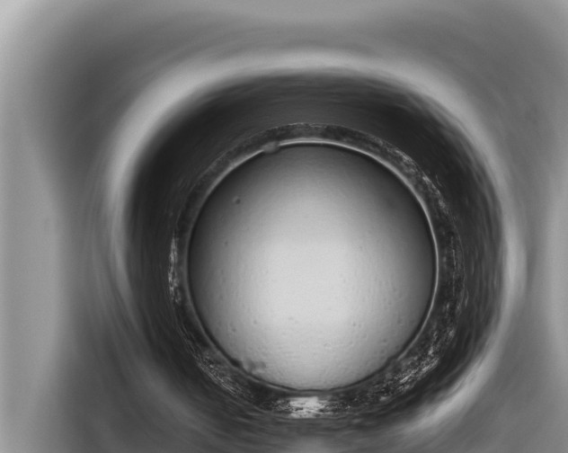 X0000116820050200912241249