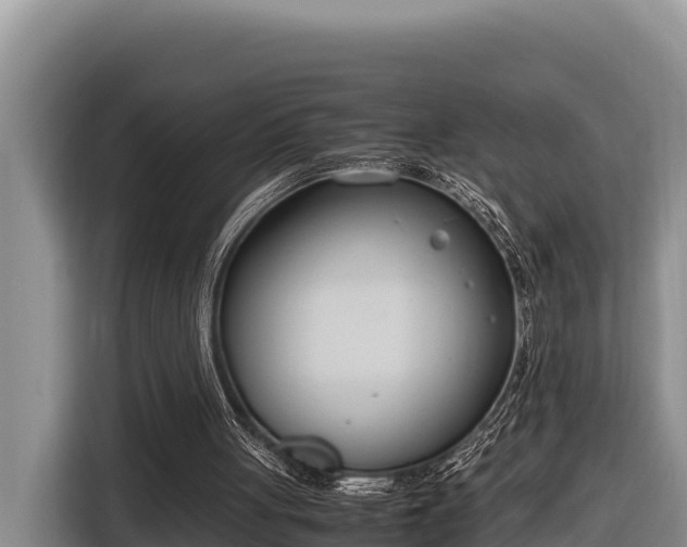 X0000116820051200912241249