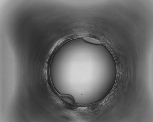 X0000116820054200912241249