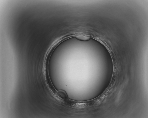 X0000116820055200912241249