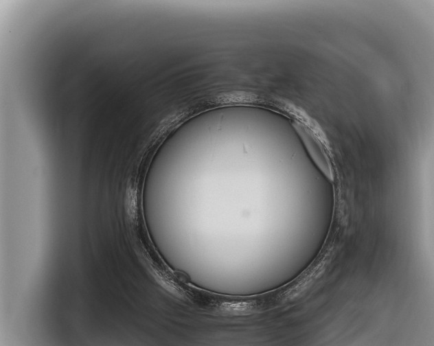 X0000116820057200912241249