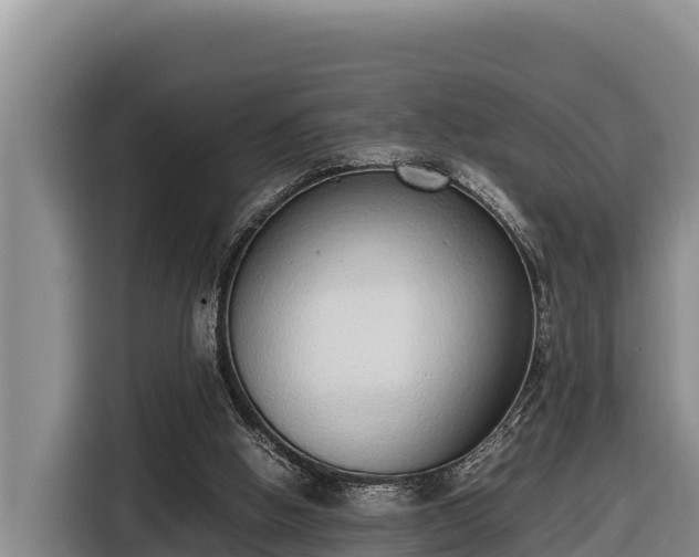 X0000116820058200912241249