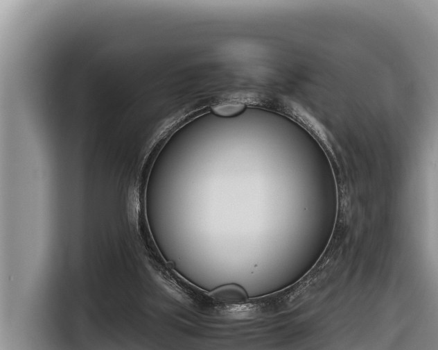 X0000116820059200912241249