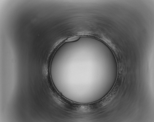 X0000116820060200912241249