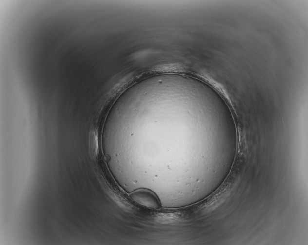 X0000116820061200912241249